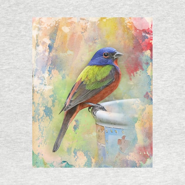 Painted Bunting Bird by candiscamera